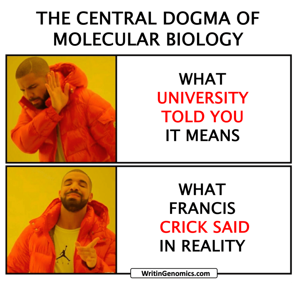 The Central Dogma of Molecular Biology is not What You Think [Common Misconceptions in Genomics, EP.&nbsp;3]